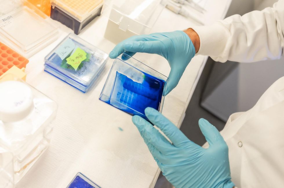 molecular glue screening